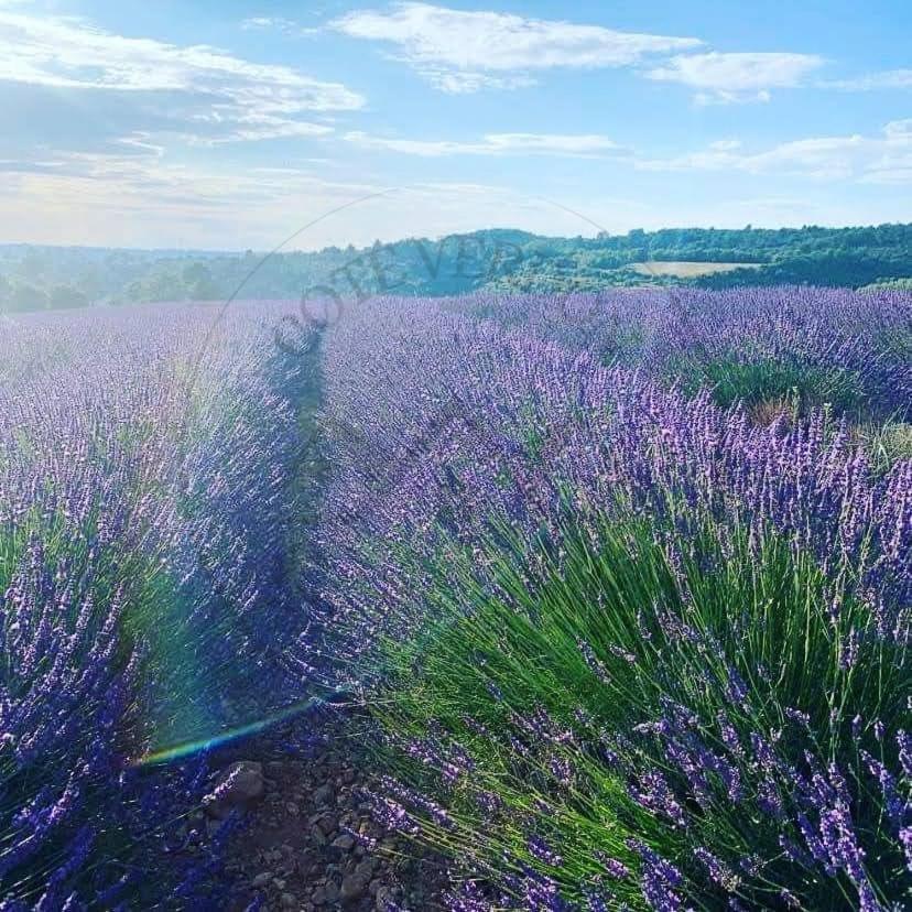 Cote Verdon 2 Quinson Bagian luar foto